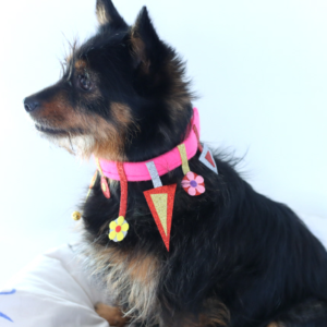 Jewel Dog Collar