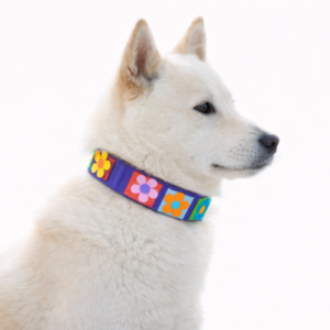 Love Flower Dog Collar