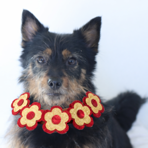 Jazz Dog Collar